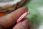 Pendentif en Rhodochrosite