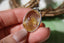 Pendentif en QUARTZ RUTILE