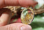 Pendentif en QUARTZ RUTILE