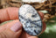 Pendentif opale blanche dendritique naturelle - Pierre aux motifs arborescents