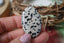 Jaspe Dalmatien naturel - Pierre aux taches noires caractéristiques