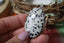 Jaspe Dalmatien naturel - Pierre aux taches noires caractéristiques