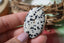 Jaspe Dalmatien naturel - Pierre aux taches noires caractéristiques
