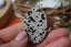 Jaspe Dalmatien naturel - Pierre aux taches noires caractéristiques
