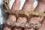 Bracelet QUARTZ RUTILE