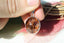 Pendentif en Quartz lodolite