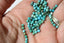 TURQUOISE perles FACETTES 3 mm