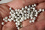 HOWLITE perles FACETTES 4 mm