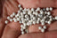 HOWLITE perles FACETTES 4 mm