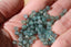 APATITE Claire perles facettes 4 mm