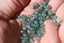 APATITE Claire perles facettes 4 mm