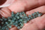 APATITE Claire perles facettes 4 mm