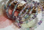Bracelet FLUORITE / FLUORINE à facettes