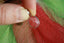 Pendentif en Rhodochrosite