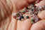 TOURMALINE MIX plates facettée, 4 mm