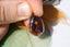 Pendentif en AGATE DE FEU