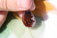 Pendentif en AGATE DE FEU