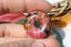 Pendentif en Rhodonite