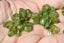PERIDOT perles nuggets / baroques