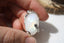 Pendentif en PERISTERITE
