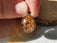 Pendentif en Quartz lodolite