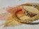 Bracelet de CITRINE