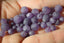 AMETHYSTE Mate perles 6 et 8 mm