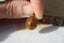 Pendentif en QUARTZ RUTILE
