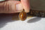 Pendentif en QUARTZ RUTILE