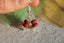 Boucles d'oreilles JASPE ROUGE