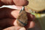 Pendentif en andalousite