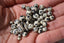 JASPE DALMATIEN, 4, 6 et 8 mm