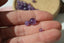 AMETHYSTE 4, 6 et 8 mm