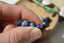 SODALITE perles de 4, 6 et 8 mm