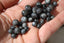 LARVIKITE perles de 6 et 8 mm