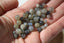 LABRADORITE perles de 4 mm, 5,5 mm et 8 mm
