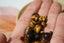 OEIL DE TIGRE perles de 4, 6, 8 et 10 mm