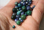 AZURITE MALACHITE 4, 6 et 8 mm