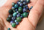 AZURITE MALACHITE 4, 6 et 8 mm