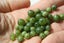 JADE NEPHRITE, 4, 6 et 8 mm
