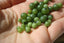 JADE NEPHRITE, 4, 6 et 8 mm