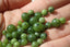 JADE NEPHRITE, 4, 6 et 8 mm