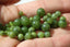 JADE NEPHRITE, 4, 6 et 8 mm