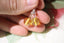 Boucles d'oreilles AMBRE