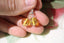 Boucles d'oreilles AMBRE