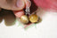 Boucles d'oreilles OEIL DE TIGRE
