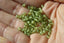 PERIDOT facettes de 4 mm