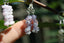 Boucles d'oreilles IOLITE