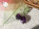 Boucles en AMETHYSTE