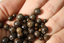 BRONZITE perles de 4, 6 et 8 mm